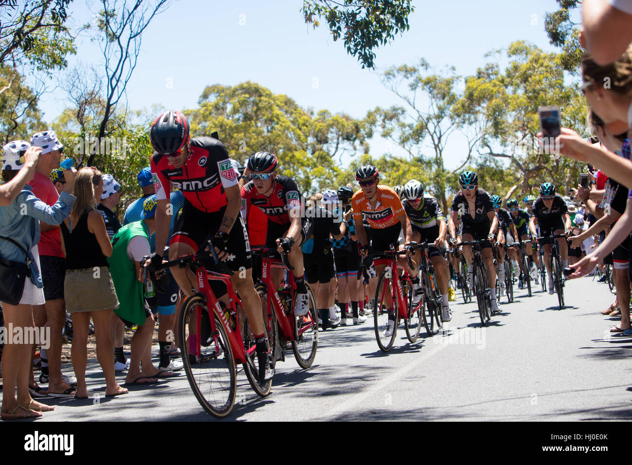 Adelaide, Australien. 21. Januar 2017. Fahrrad Exchange 5. Etappe McLaren Vale Willunga Hill, Santos Tour Down Under, 21. Januar 2017. Bildnachweis: Peter Mundy/Alamy Live-Nachrichten Stockfoto