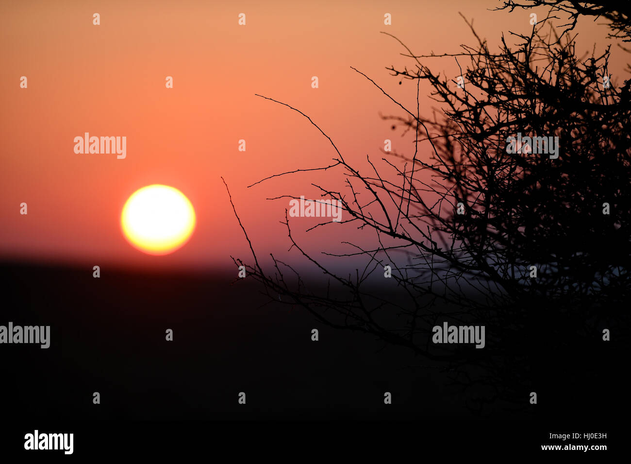 Brighton, UK. 21. Januar 2017. Die Sonne geht über der South Downs Way bei Ditchling Beacon nördlich von Brighton Vormittag mit Temperaturen, die es voraussichtlich gut unter dem Gefrierpunkt im Süden von Großbritannien Credit: Simon Dack/Alamy Live News Stockfoto