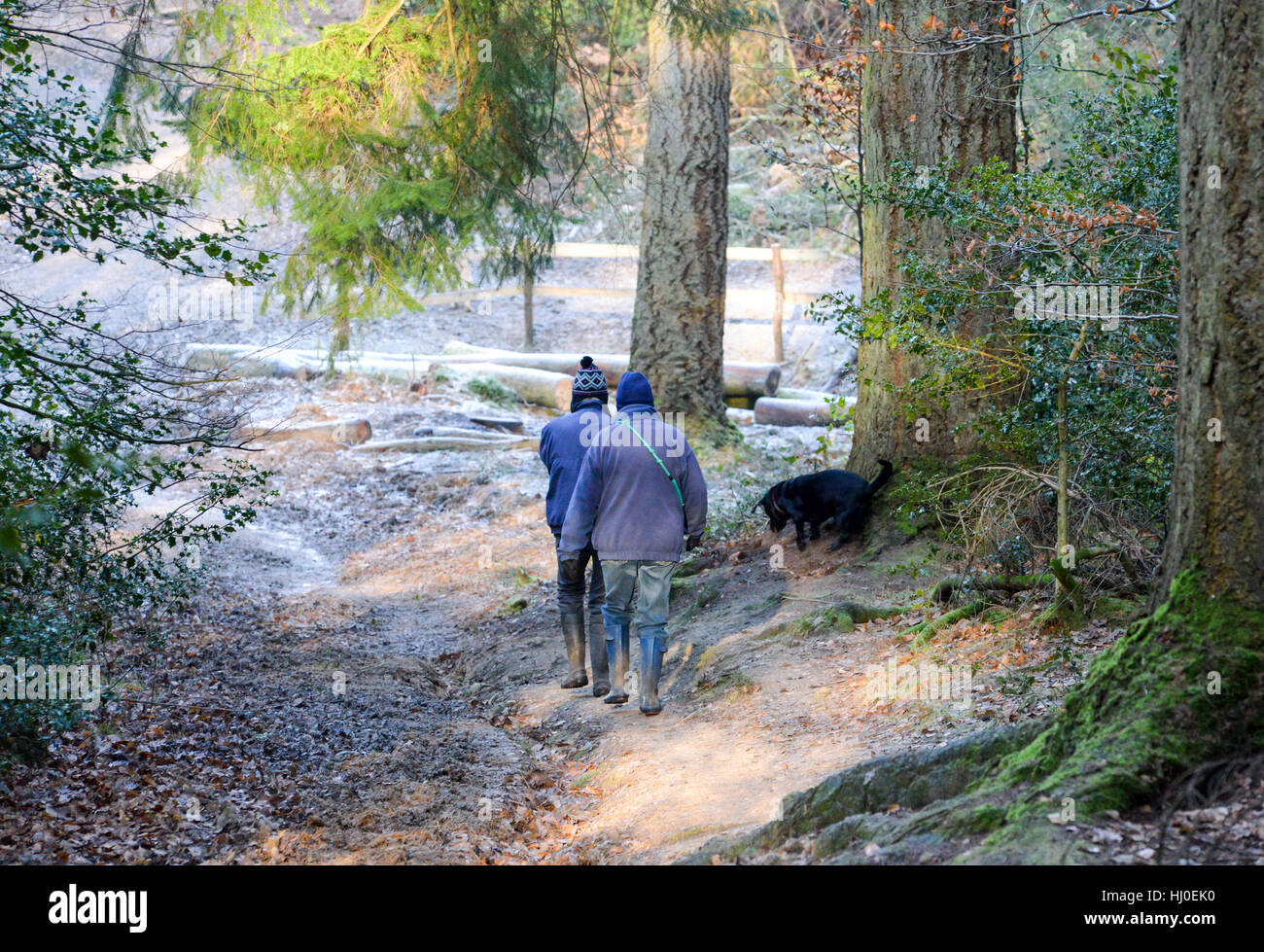Ein Paar, das in einer frostigen Landschaft einen Hund läuft Stockfoto