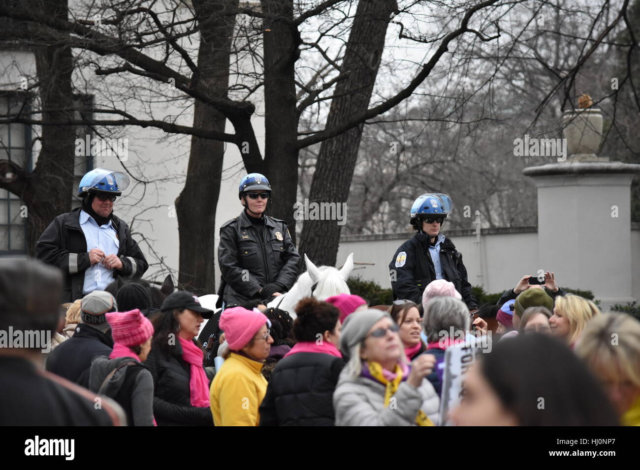 Washington, USA. 21. Januar 2017. DC Polizei auf dem Rücken der Pferde sprechen Sie mit Demonstranten auf der Frauen Marsch auf Washington Credit: Carlos Romero Talamas/Alamy Live News Stockfoto