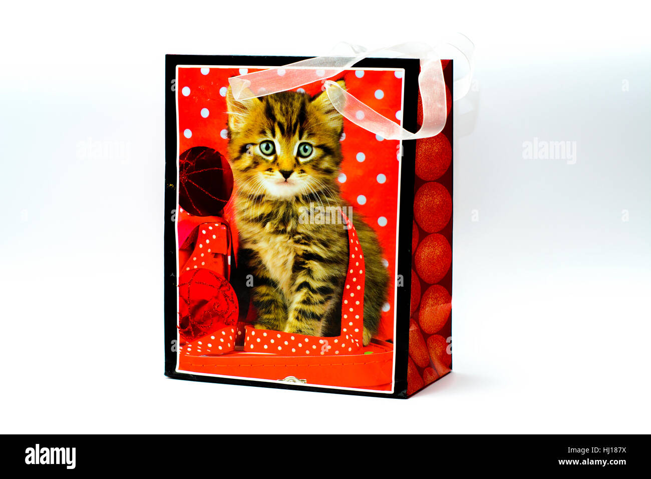 Silvester Hund Stockfotos und -bilder Kaufen - Alamy