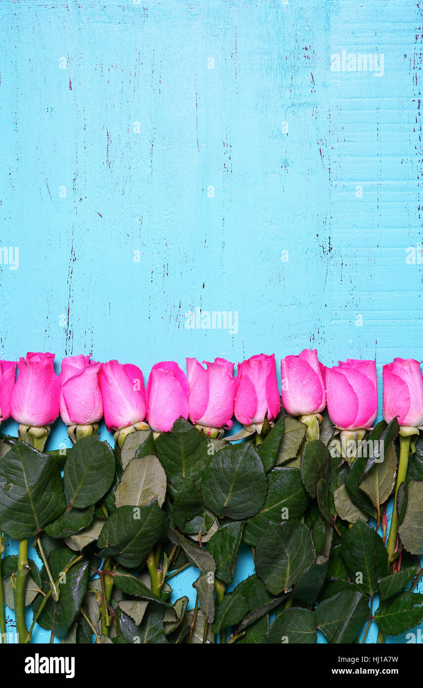 Vintage Aqua blau Holz-Hintergrund mit verzierten Rahmen rosa Rosenknospen mit textfreiraum und Platz für Text. Stockfoto