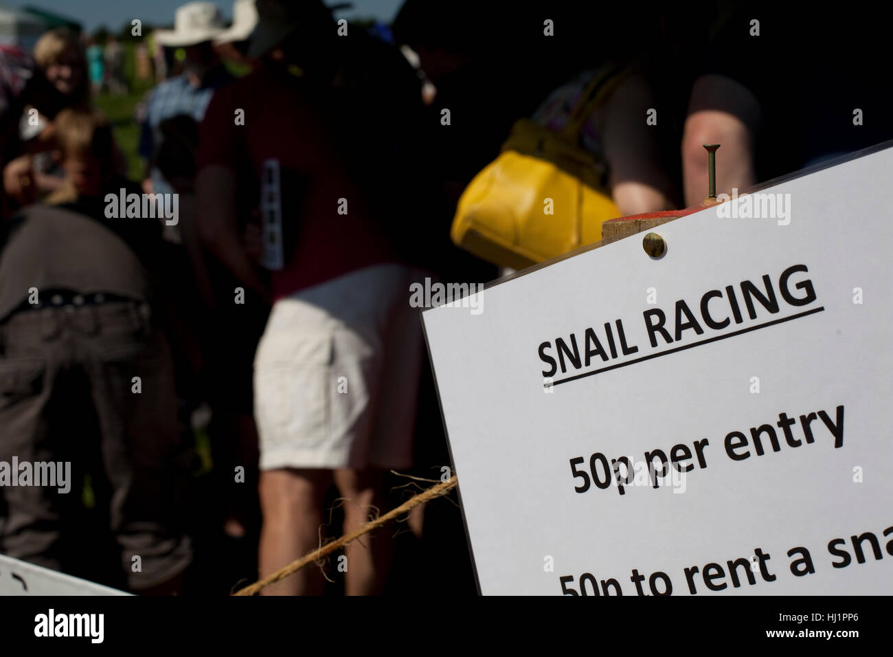 Snail Racing Festival Aughton Pudding, Lancashire, UK Stockfoto