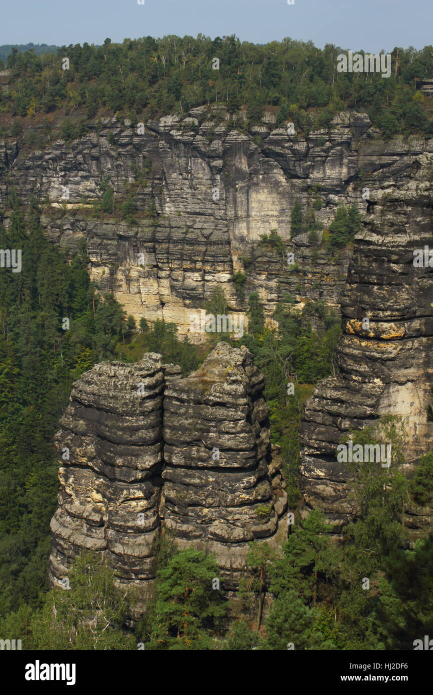 laufen Sie, gehen Sie, gehen, Wandern, Baum, Berge, Horizont, Holz, Nationalpark, Stockfoto