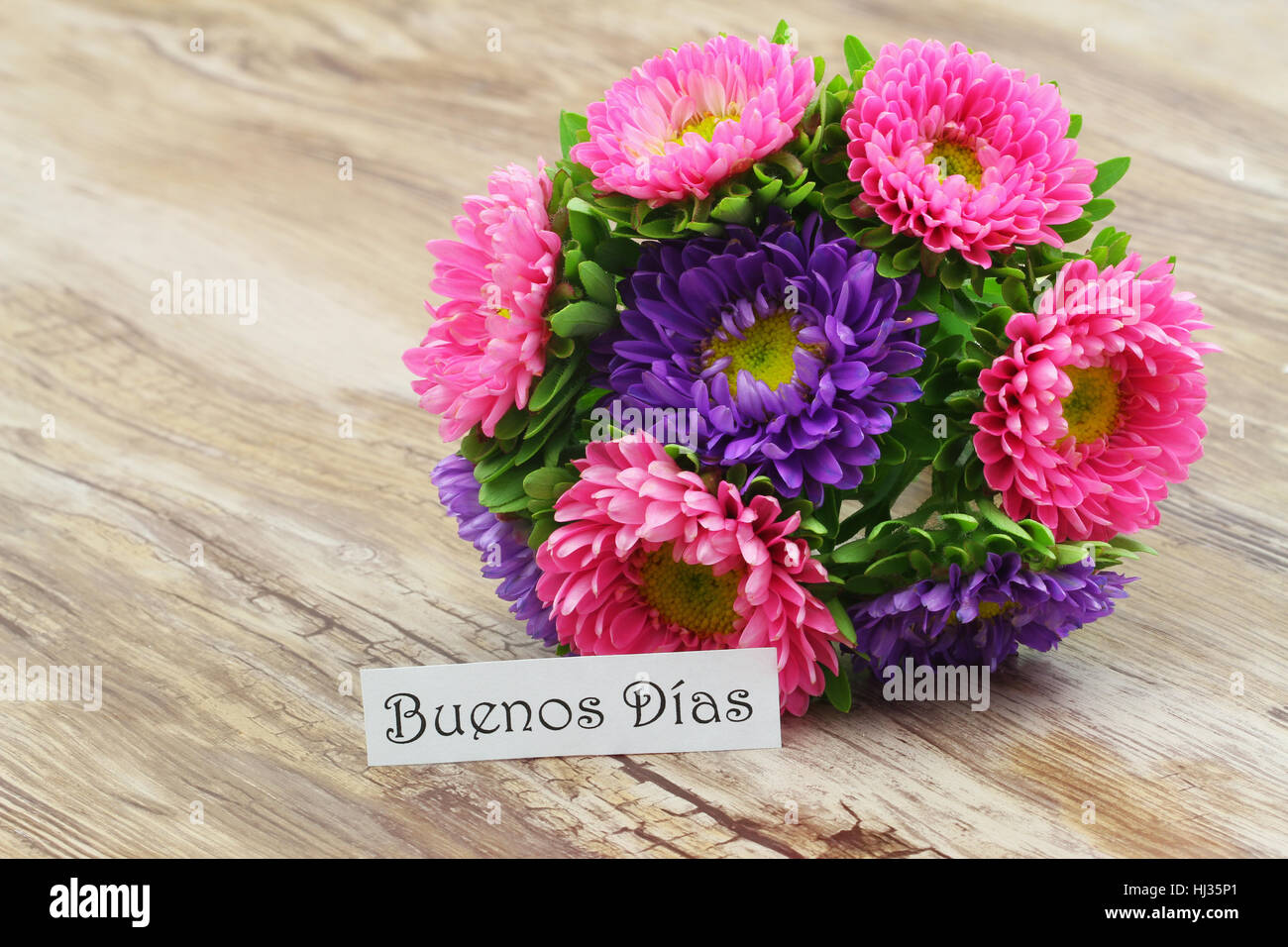 Buenos Dias (guten in Spanisch) Karte mit bunten Daisy blumeblumenstrauß Stockfotografie