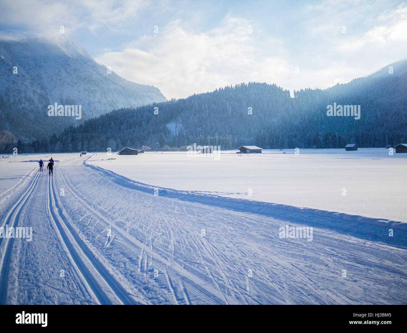 Langlaufen im Winter, Oberstdorf, Allgäu, Deutschland Stockfoto