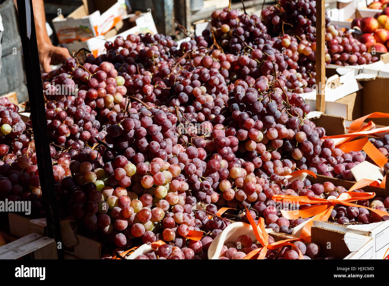 Frische rote Trauben, sizilianisches Marktes, Palermo, Sizilien, Italien Stockfoto