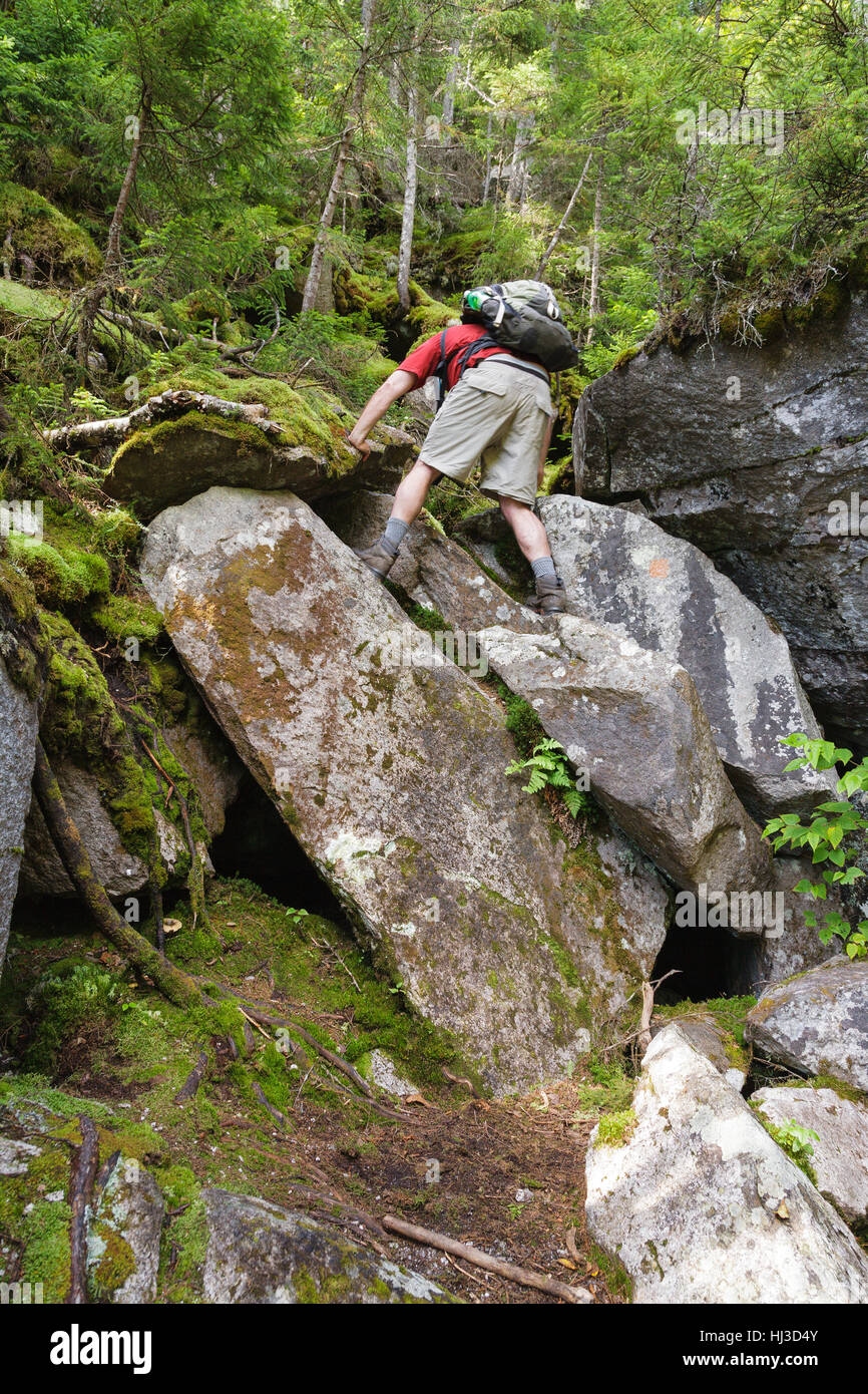Eis-Gulch - Wanderer finden ihren Weg auf dem Eis Gulch Weg in Randolph, New Hampshire in den Sommermonaten. Stockfoto