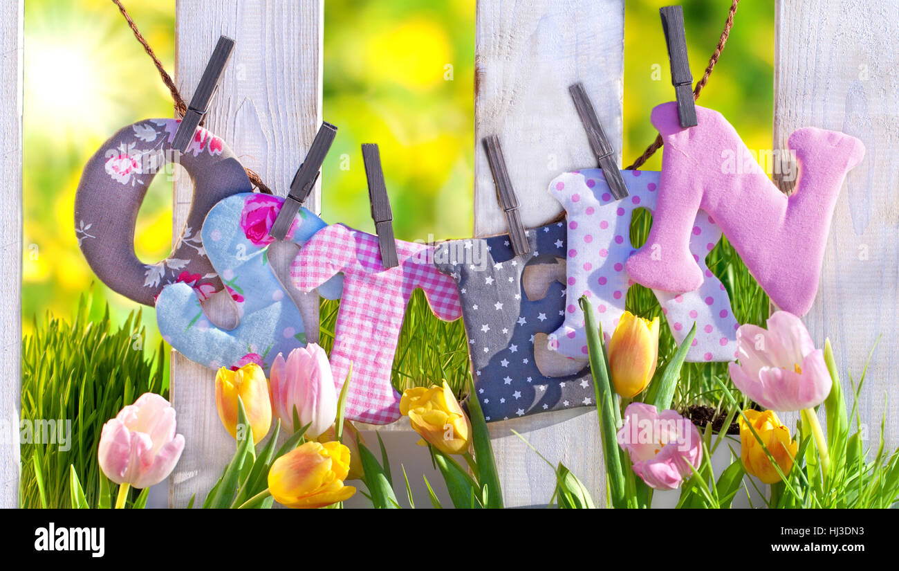 bukolische, Sonnenlicht, Ostern, Palisaden, Ostern, Wiese, Glanz, scheint, hell, Stockfoto