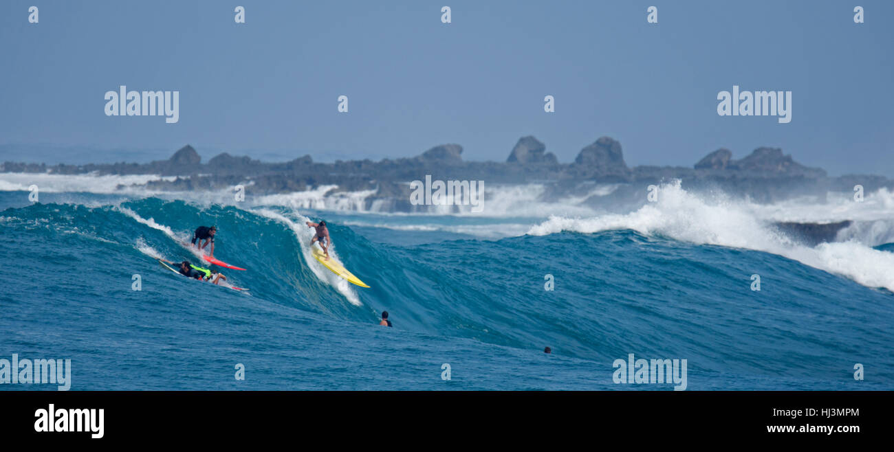 Wellenreiten am Waimea Bay, North Shore, Oahu, Hawaii, USA Stockfoto