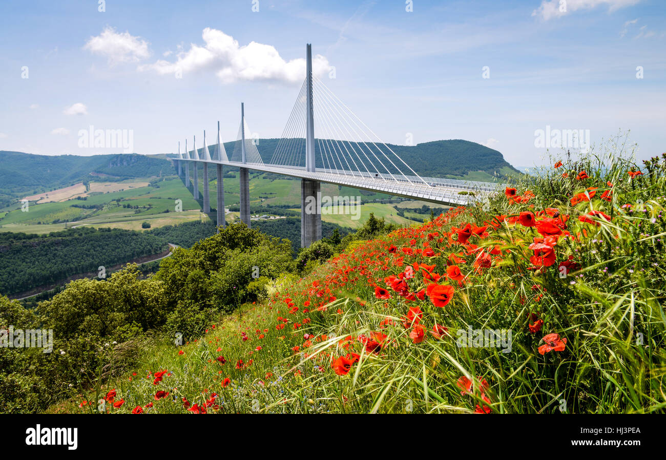 Viadukt von Millau, Schrägseilbrücke, die überspannt das Tal des Flusses Tarn in der Nähe von Millau im südlichen Frankreich Fotograf Fraser Band 07984 163 2 Stockfoto