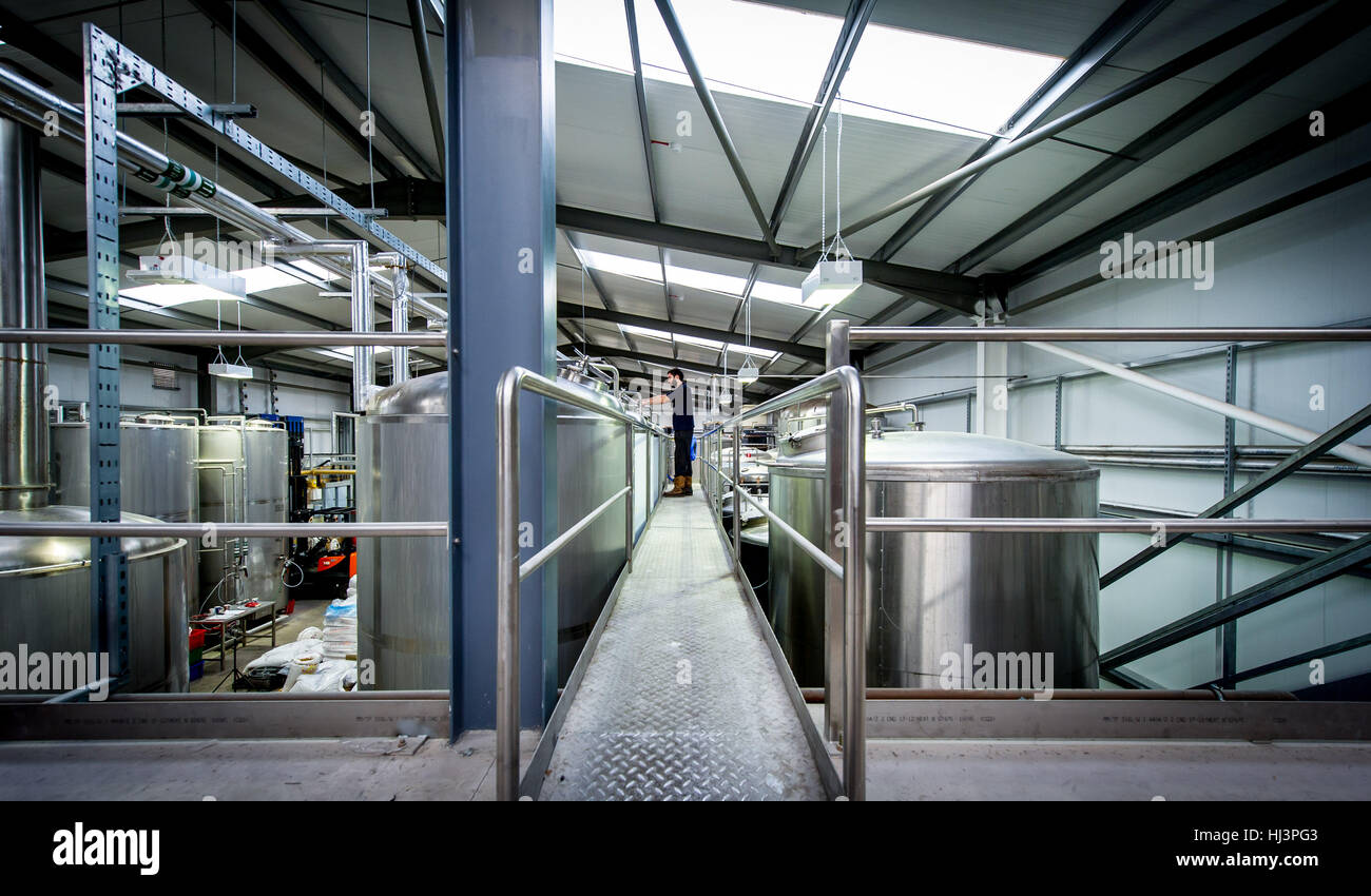 Bierbrauen Produktion in verschiedenen Stadien von Korn in die Flasche. Stockfoto