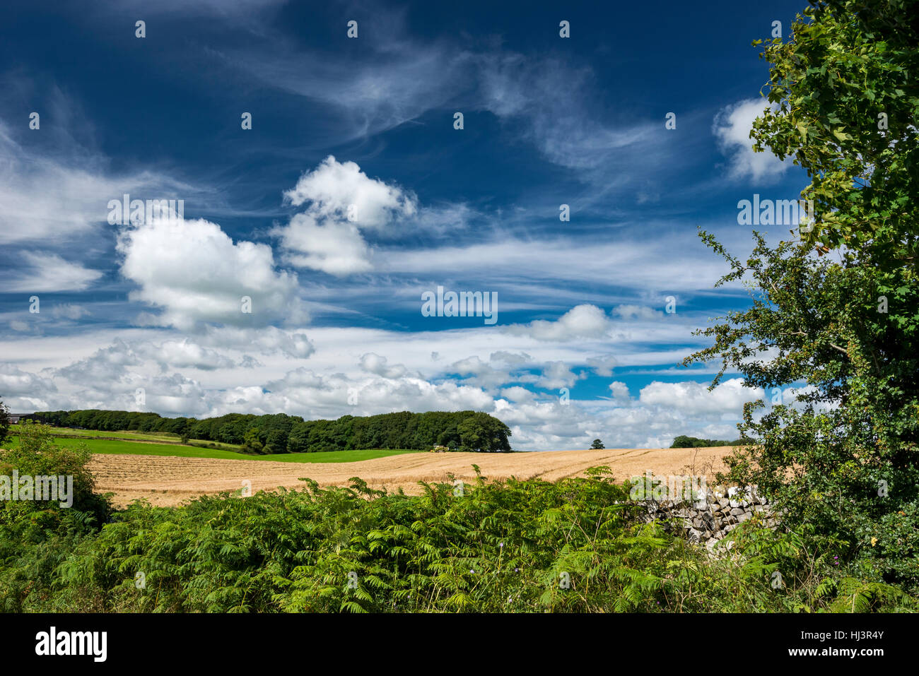 Hohen Wolkenfetzen in einen Sommerhimmel über die englische Landschaft im Peak District, Derbyshire. Stockfoto