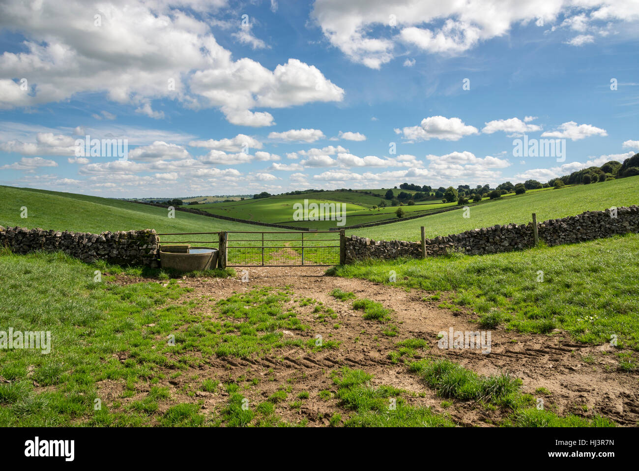 Runde Wassertrog neben einem Feld-Tor in der englischen Landschaft. Eine Sommerlandschaft in der Nähe von Parwich im Peak District. Stockfoto