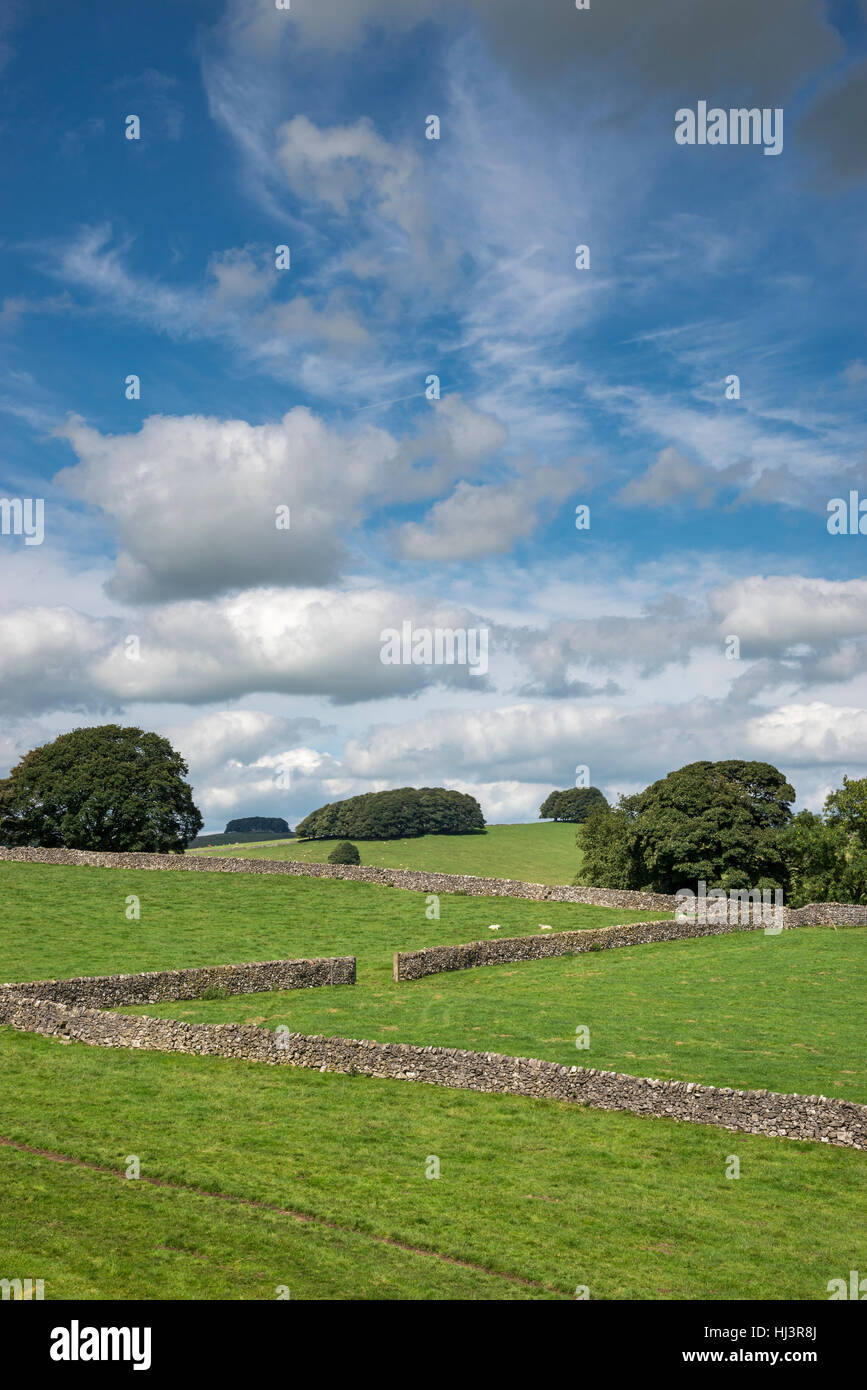Trockenmauer und Wiesen in der Nähe von Parwich in den Peak District National Park. Stockfoto