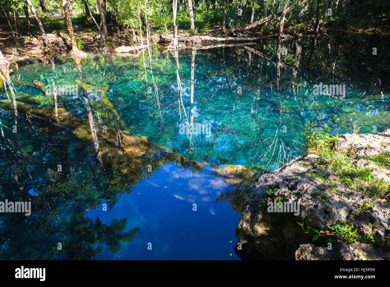 Noch See in tropischen Wald, Naturlandschaft der Dominikanischen Republik Stockfoto