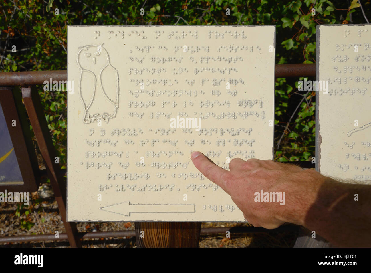 Der Mensch lesen Braille-Info-Tafel oder Schild mit Finger im Naturschutzgebiet mit Umriss Vogel oder Eule Oppedette Schlucht Provence Stockfoto