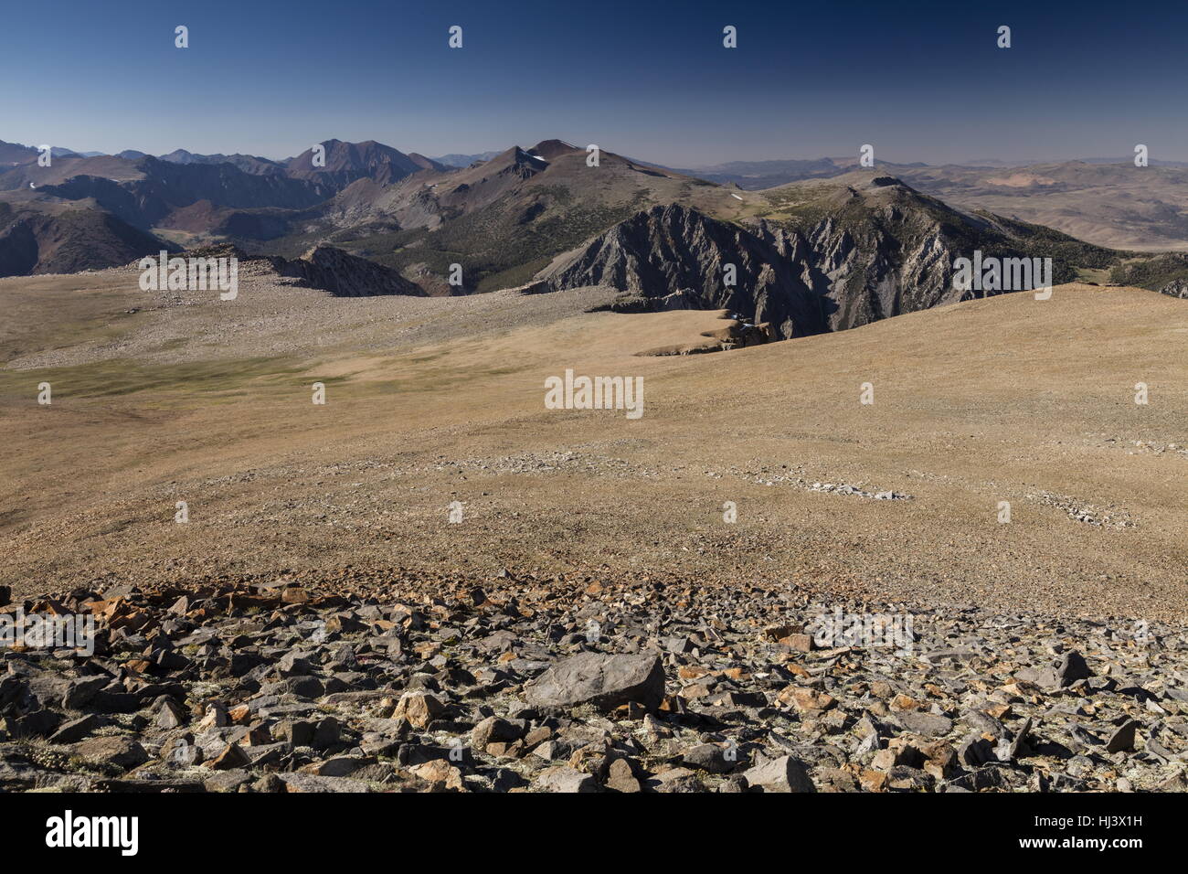 Das Dana Plateau, Höhenlage fiel-Feld bei 11-12.000 ft am Rande des Yosemite Nationalparks Sierra Nevada; Kalifornien. Stockfoto