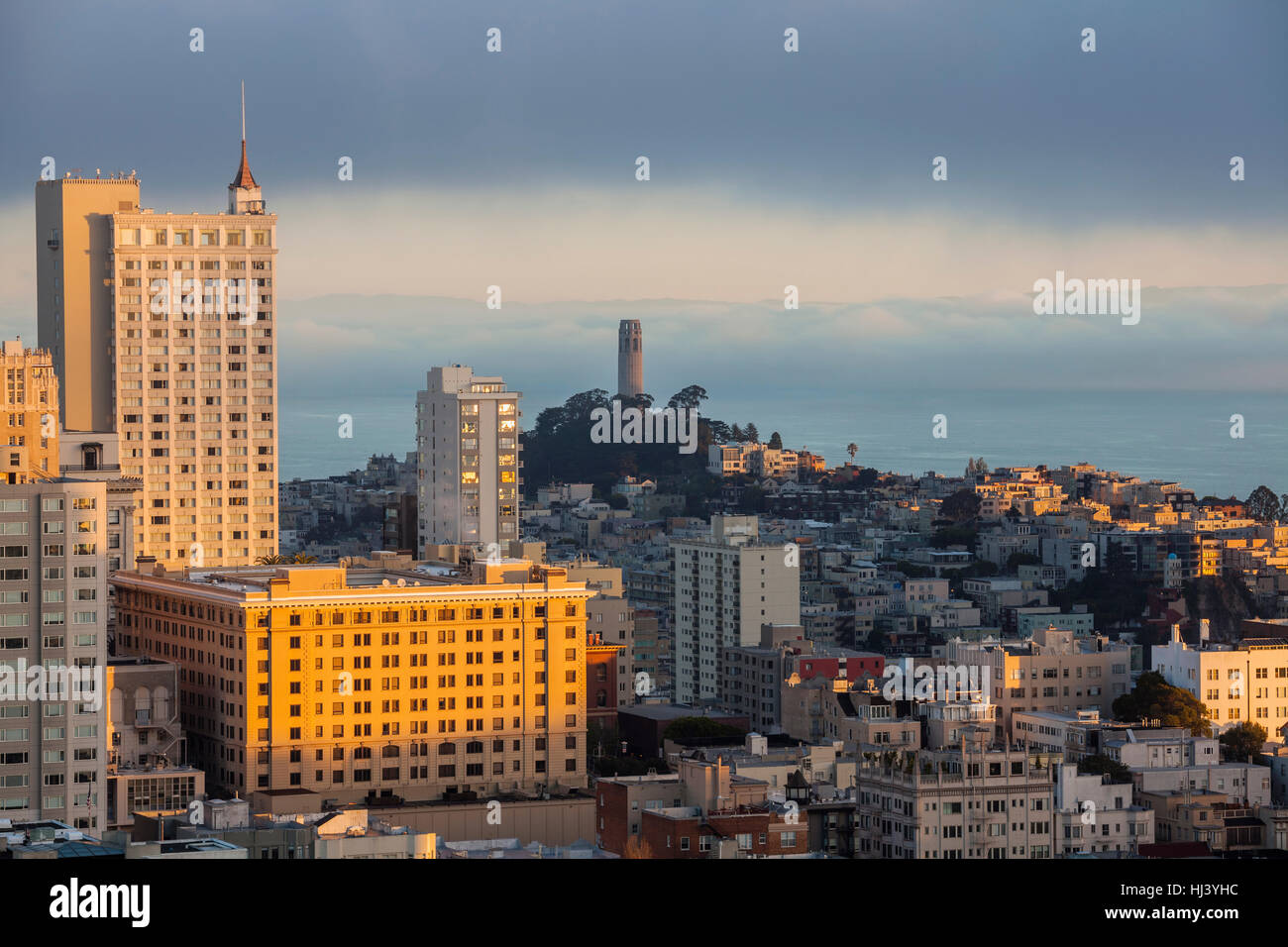 Morgennebel in der Nähe von Coit Tower Park in der Stadt San Francisco, Kalifornien. Stockfoto