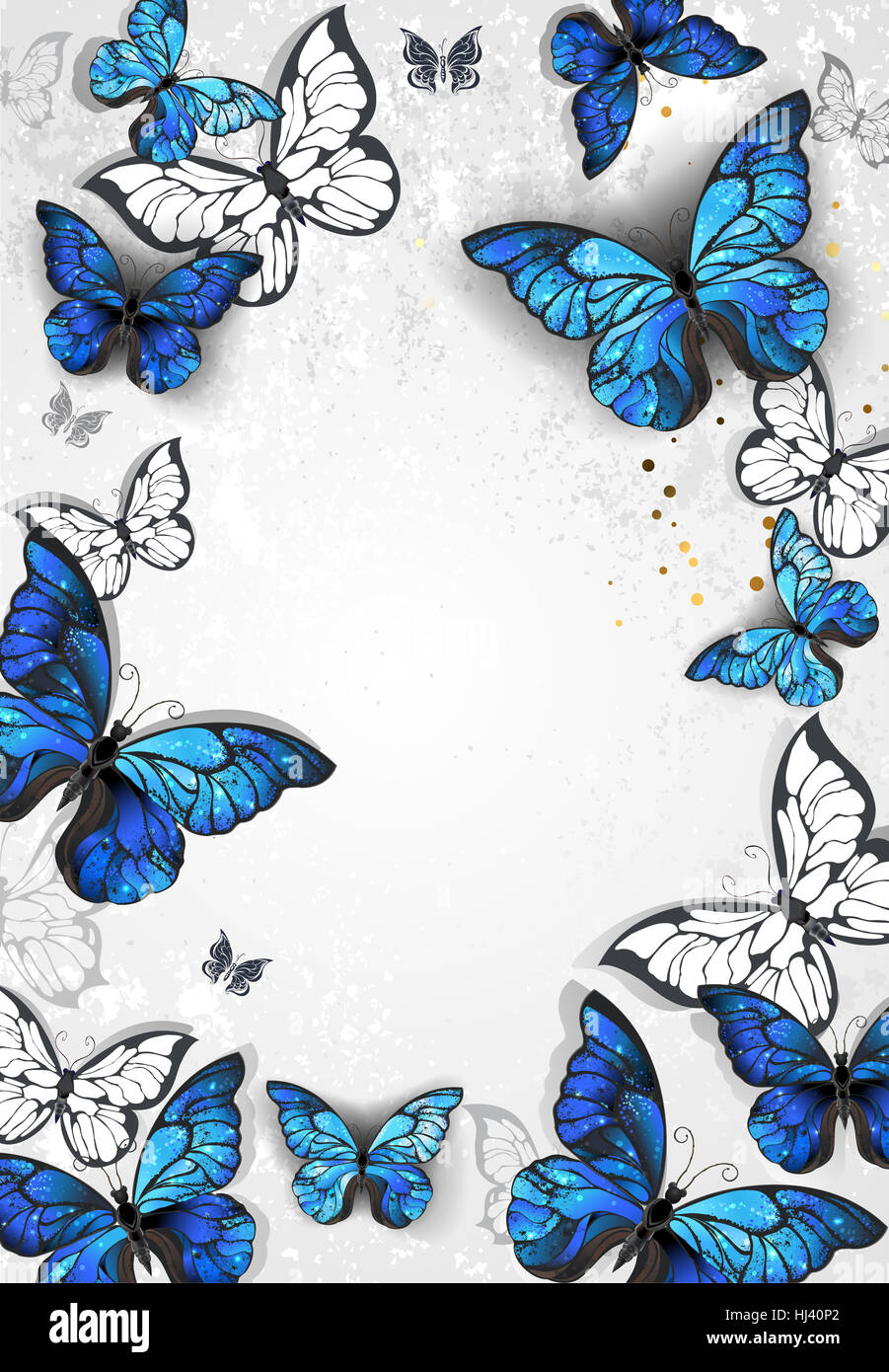 Rahmen mit blauen realistische Morpho Schmetterlinge auf grauem Hintergrund Textur. Design mit Schmetterlingen. Morpho. Design mit blauer Schmetterlinge Morpho. Stockfoto