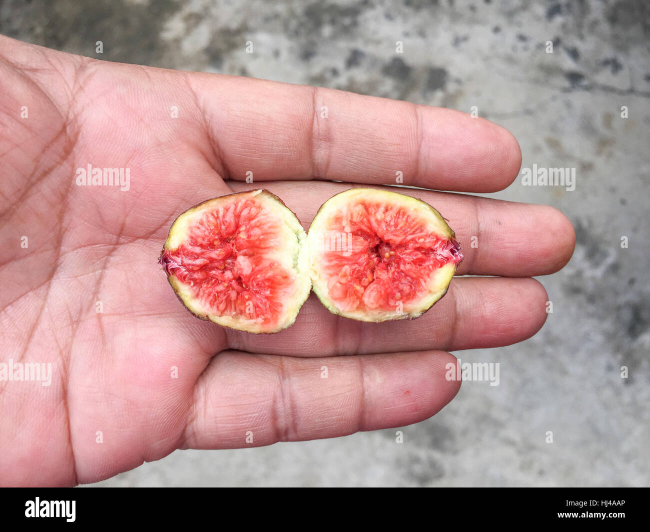 Nahaufnahme und selektiven Fokus Reife Feigen oder Ficus Carica benannt Barnisotte Sorte. Stockfoto