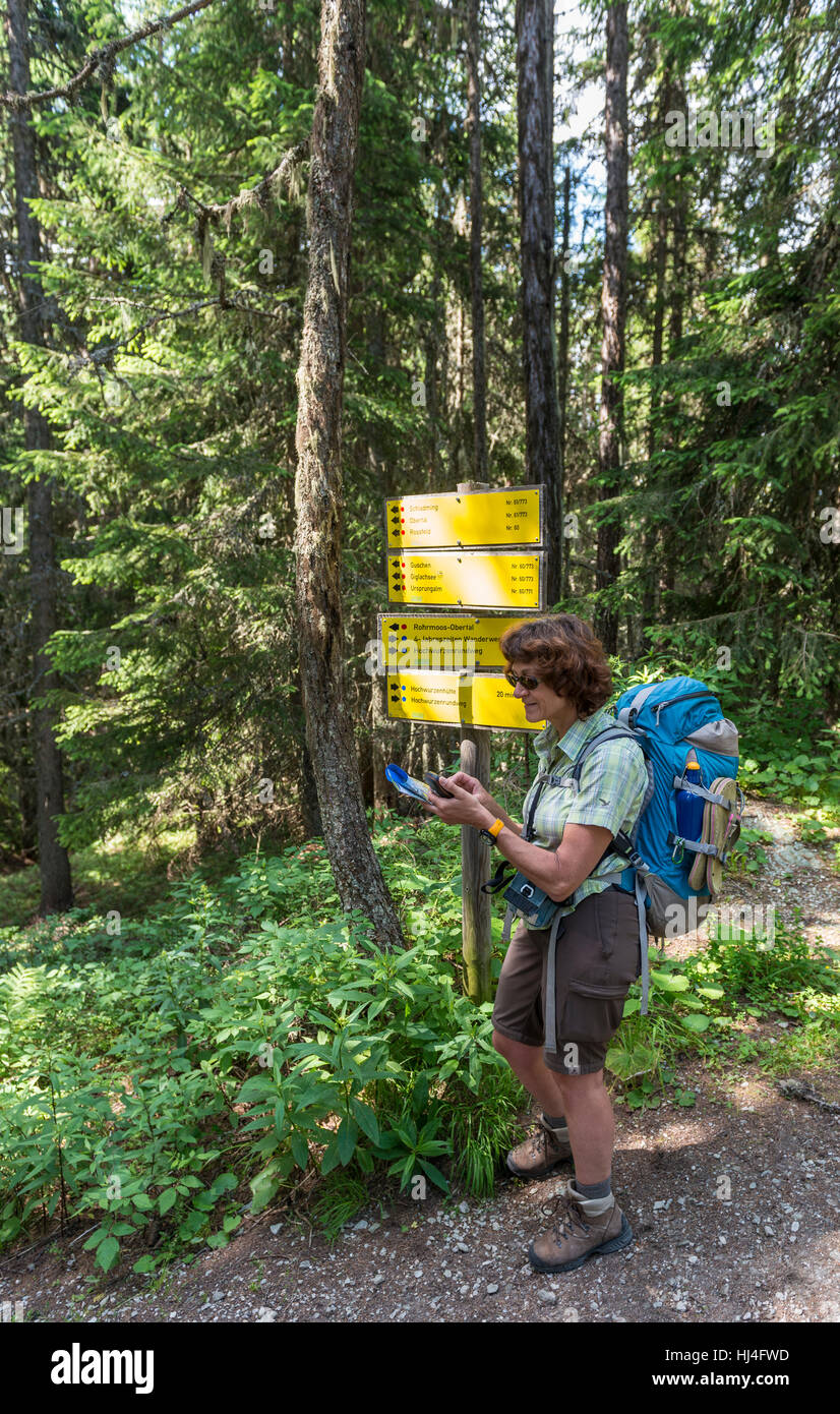 Weibliche Wanderer am Wegweiser im Wald liest Karte auf GPS-Gerät, Schladming Tauern, Schladming, Steiermark, Österreich Stockfoto