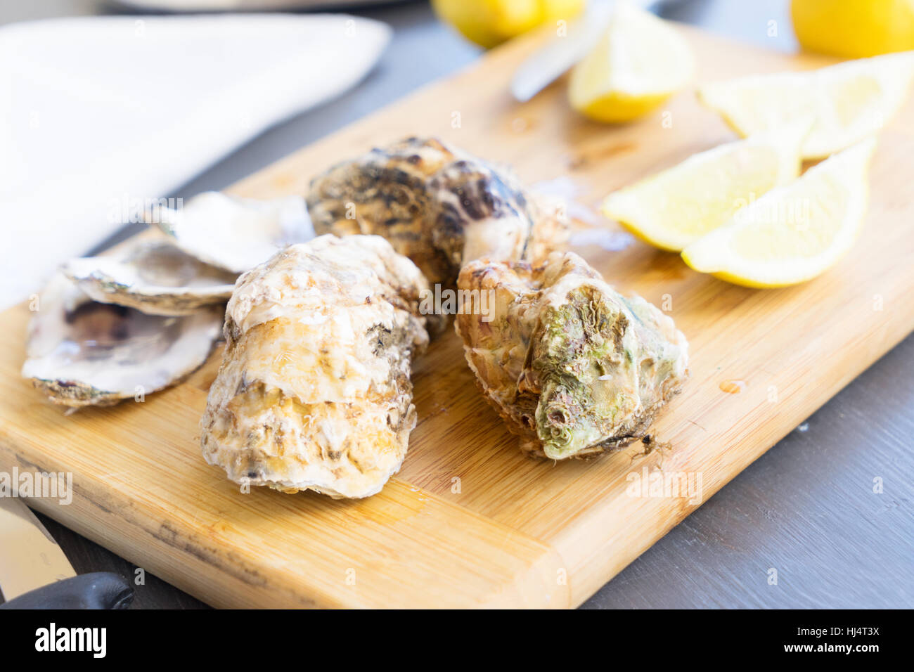 Rohe Austern Muscheln Stockfoto