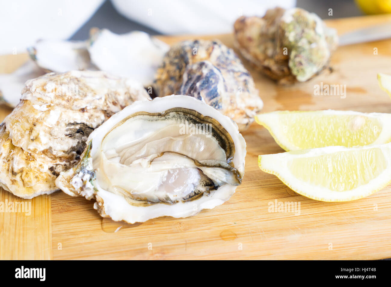 Rohe Austern Muscheln Stockfoto
