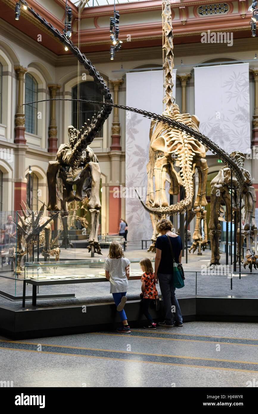 Berlin. Deutschland. Museum Für Naturkunde, Besucher in der Dinosaurier-Halle. Stockfoto