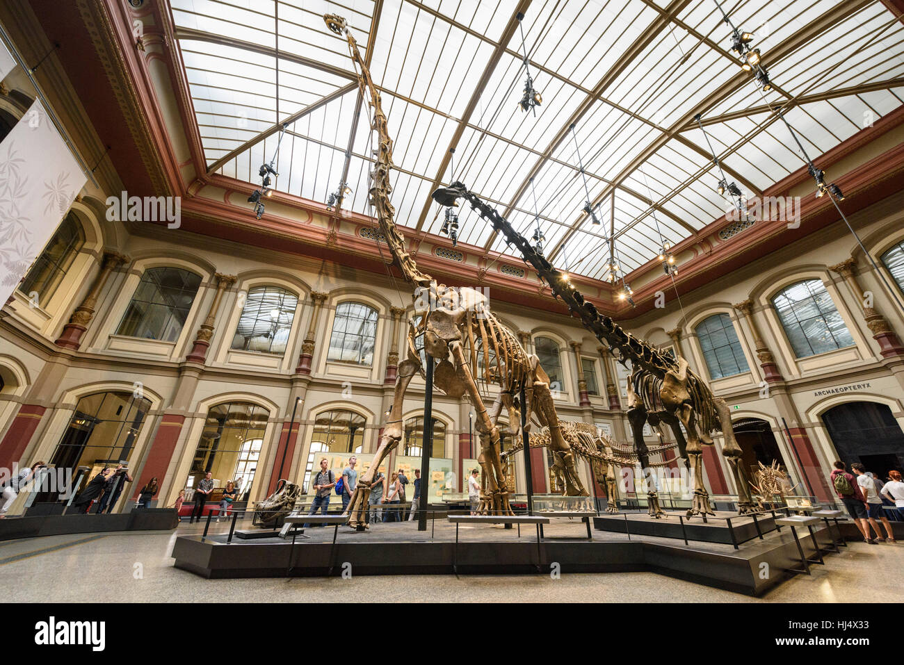 Berlin. Deutschland. Museum Für Naturkunde, Dinosaurier-Halle mit dem Skelett von Giraffatitan Brancai im Zentrum. Stockfoto