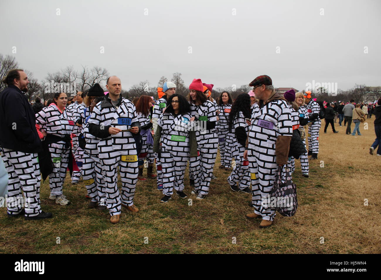 Distrikt von Columbia, USA. 21 Jan, 2017. Eine Gruppe von Demonstranten auf dem Rasen des Weißen Hauses tragen passende Outfits zu sehen wie eine Wand, ein Kopfnicken zu versprechen Präsident Donald Trump, der entlang der Grenze zwischen den USA und Mexiko bauen, mit verschiedenen Zitate von ihm. Stockfoto