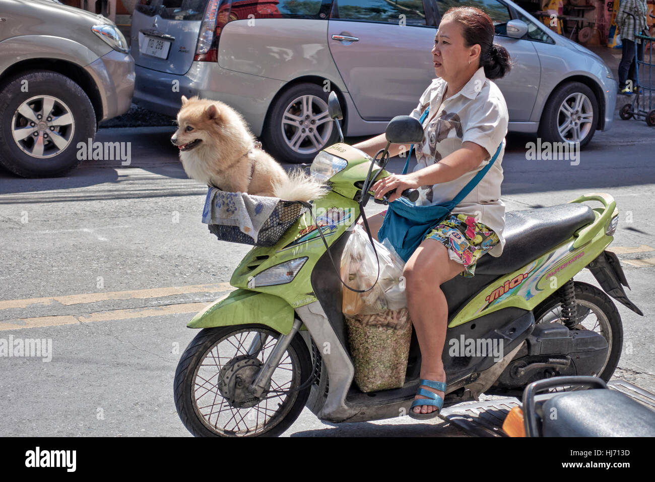 Frau, die ihrem Hund auf einem Motorrad zu transportieren Stockfotografie -  Alamy