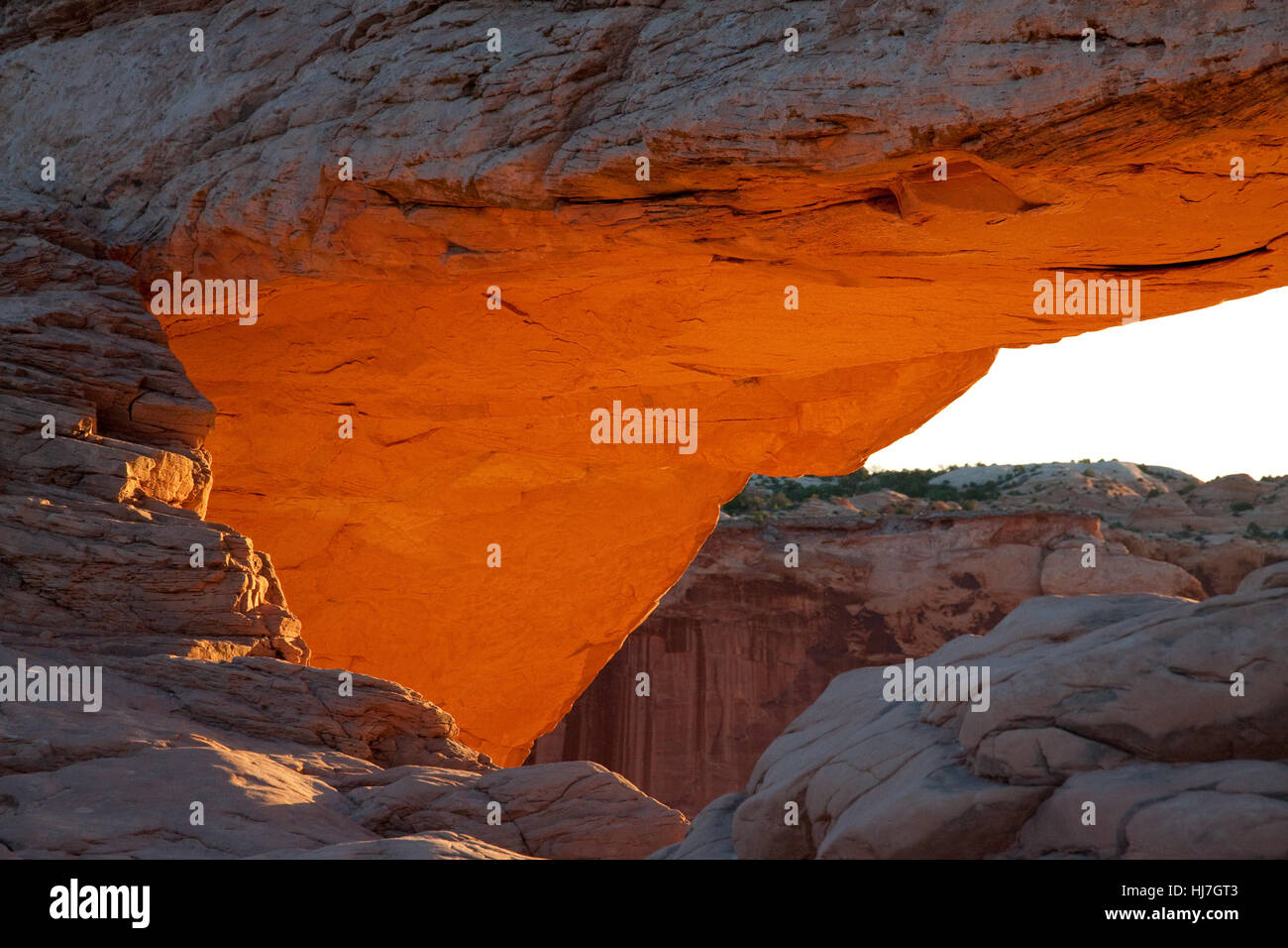 Mesa arch Stockfoto
