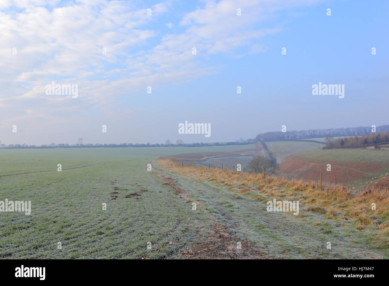 Englische Winterlandschaft mit satiniertem urbaren Ackerland und Täler von den malerischen Yorkshire Wolds im Januar, Stockfoto