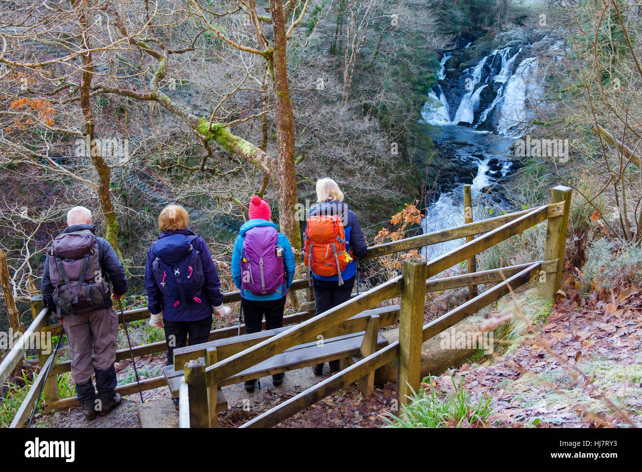 Wanderer-Gruppe betrachten Swallow Falls (Rhaeadr Ewynnol) auf Afon Llugwy Fluss aus Sicht auf Nordseite. Betws-y-Coed, Conwy, Wales, UK, Großbritannien. Stockfoto