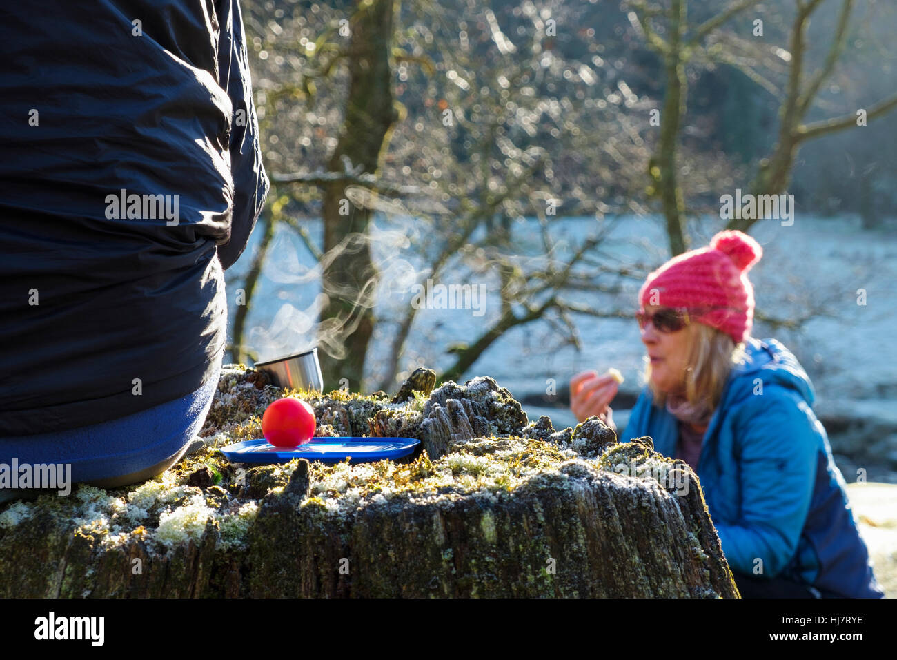 Person saß am Flussufer Baumstumpf mit Picknick-Mittagessen mit dampfend heißes Getränk. Betws-y-Coed, Conwy, Wales, UK, Großbritannien Stockfoto