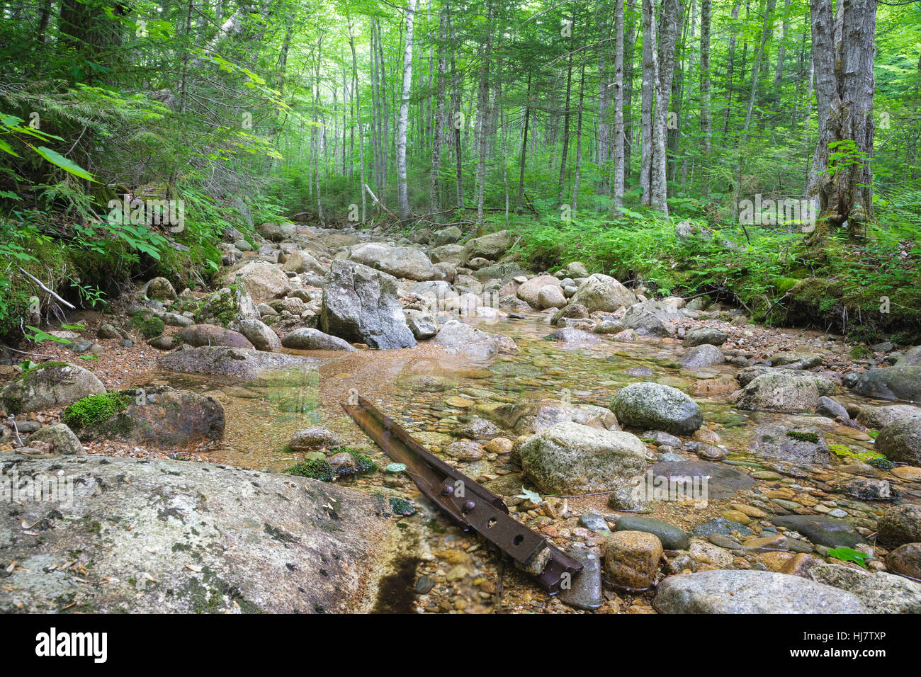 Pemigewasset Wilderness - Standort eine Stichleitung aus der East Branch & Lincoln Railroad North Fork Junction in Lincoln, New Hampshire, USA. Stockfoto