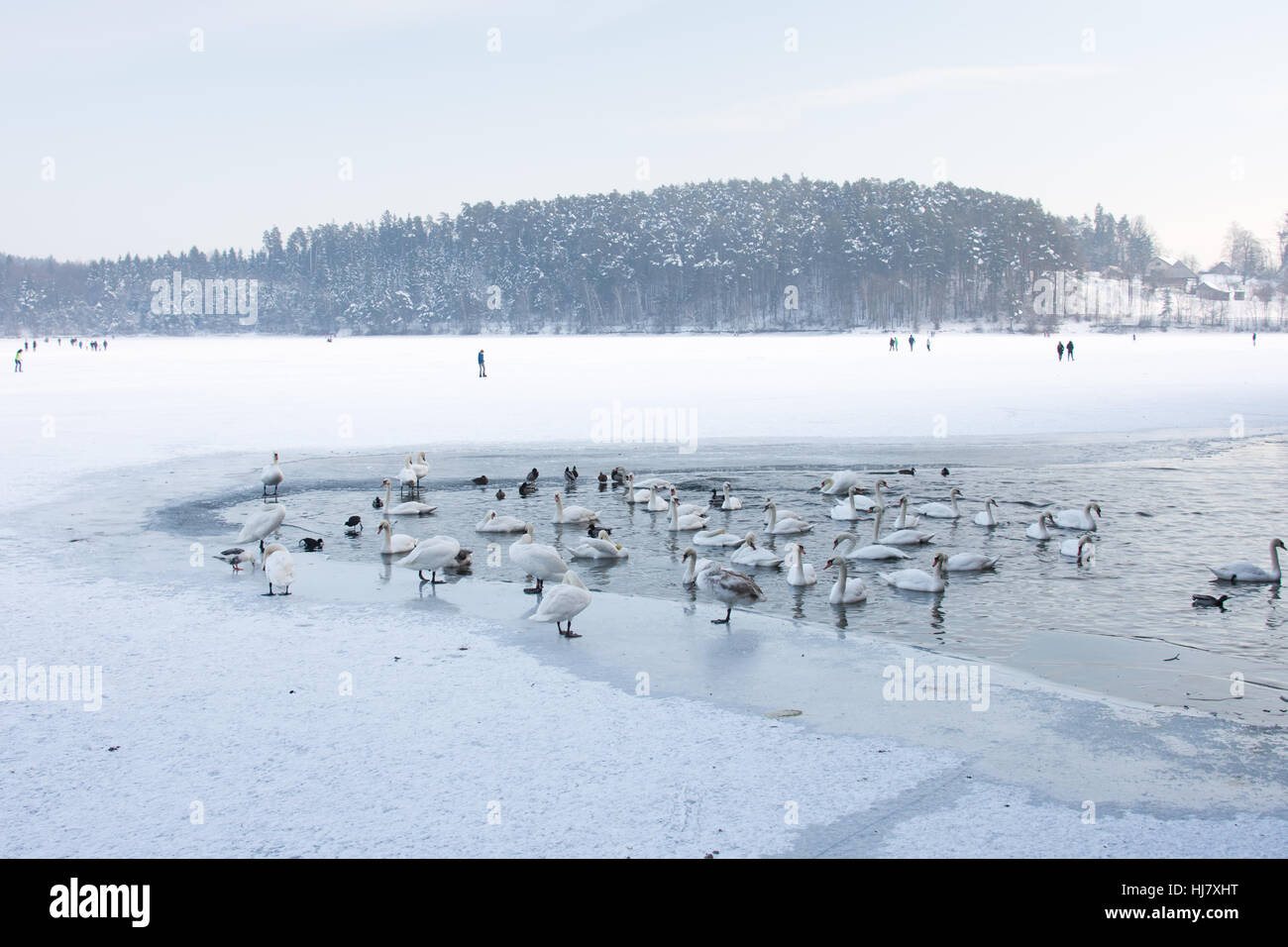 Šmartinsko Jezero, Celje, Slowenien Stockfoto