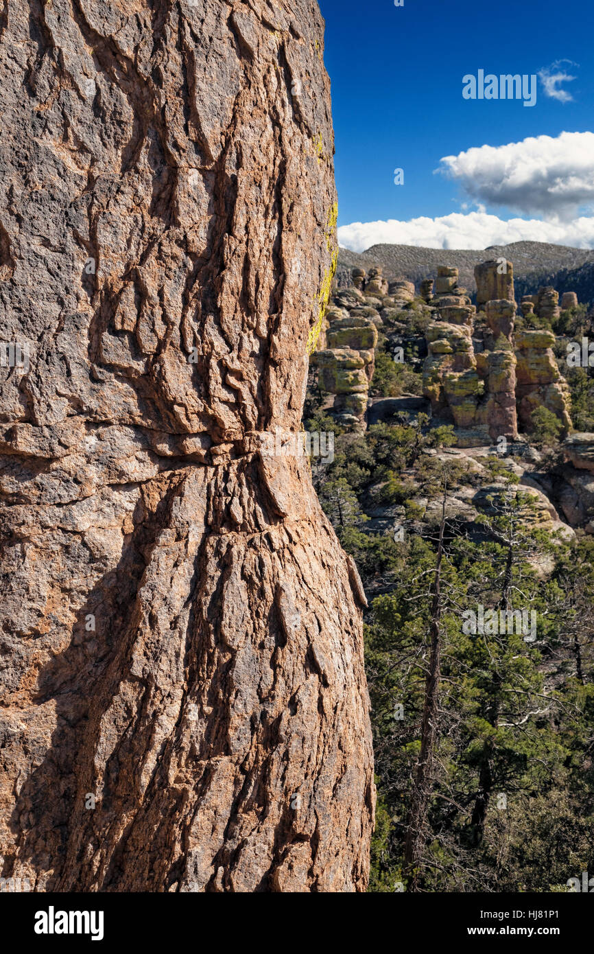 Peeling Rhyolite Formationen, Chiricahua National Monument, Arizona Stockfoto