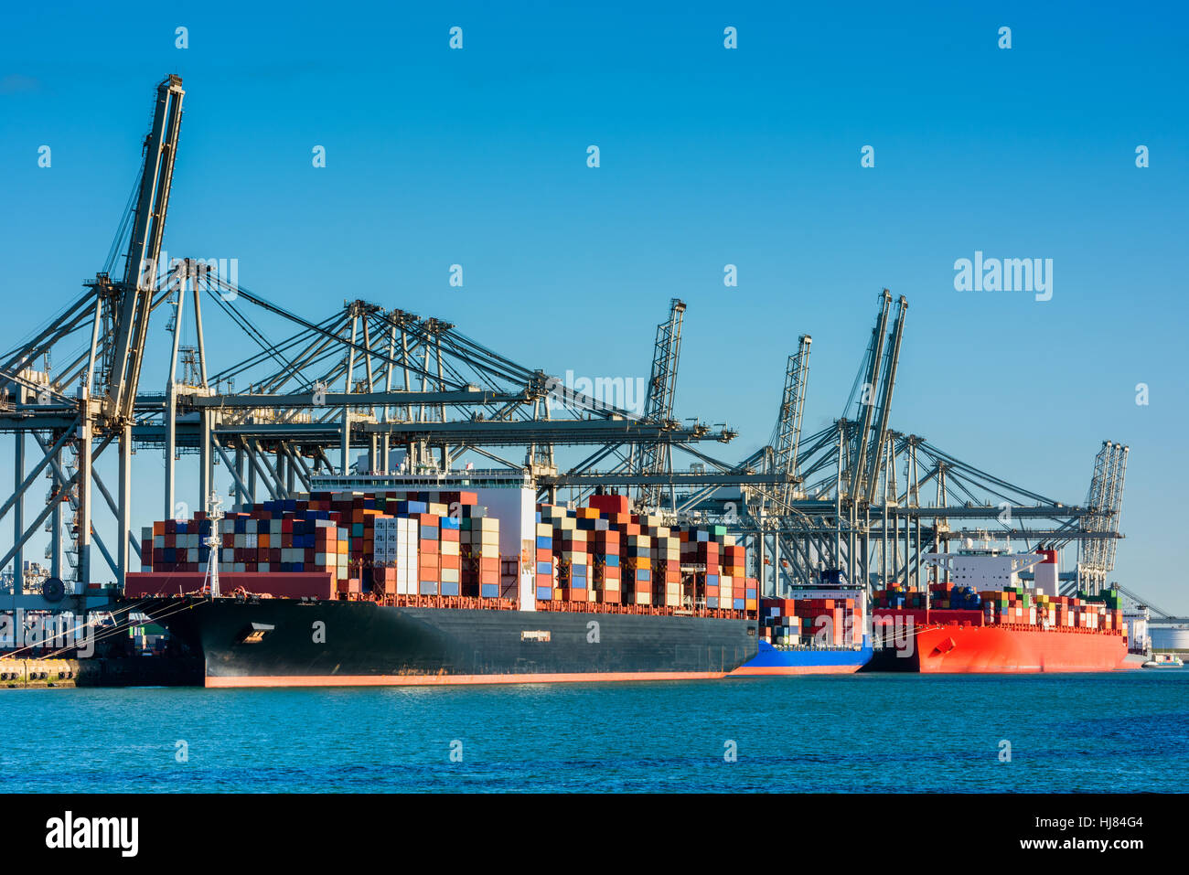 Container-Schiffe im Hafen von Rotterdam angedockt Stockfoto