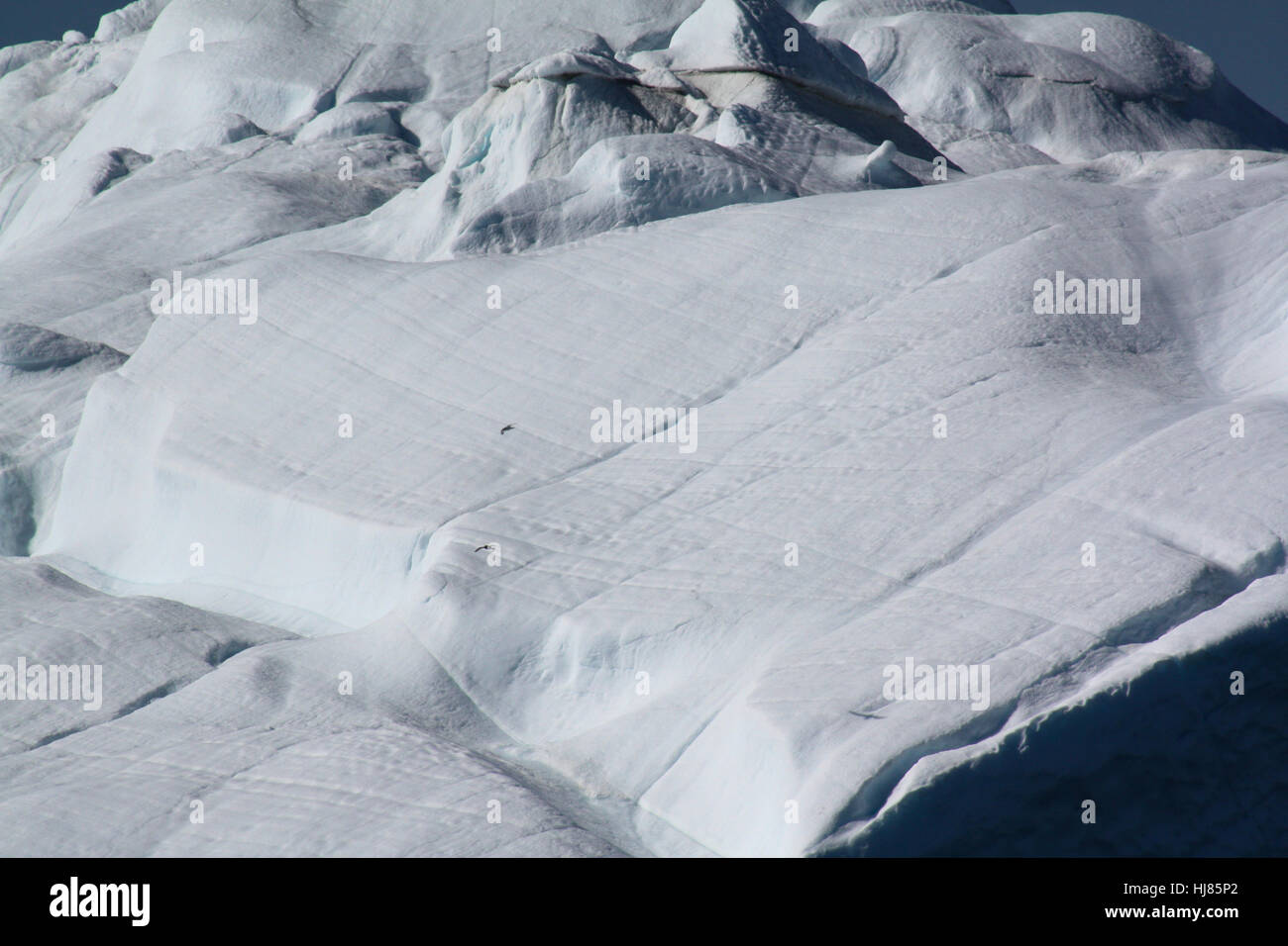 Detail des Eisbergs, Grönland Stockfoto