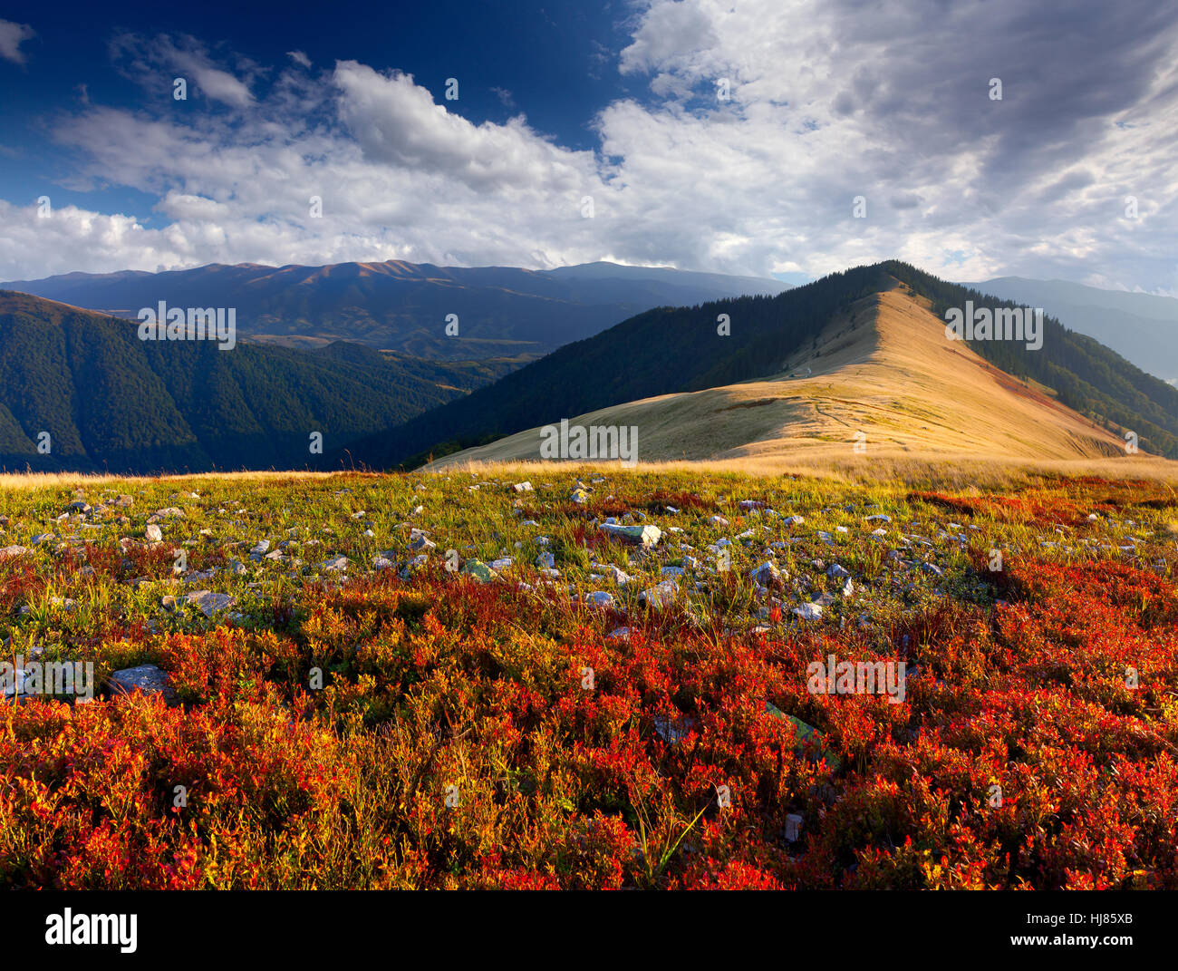 Bunte Herbstlandschaft in den Bergen Stockfoto
