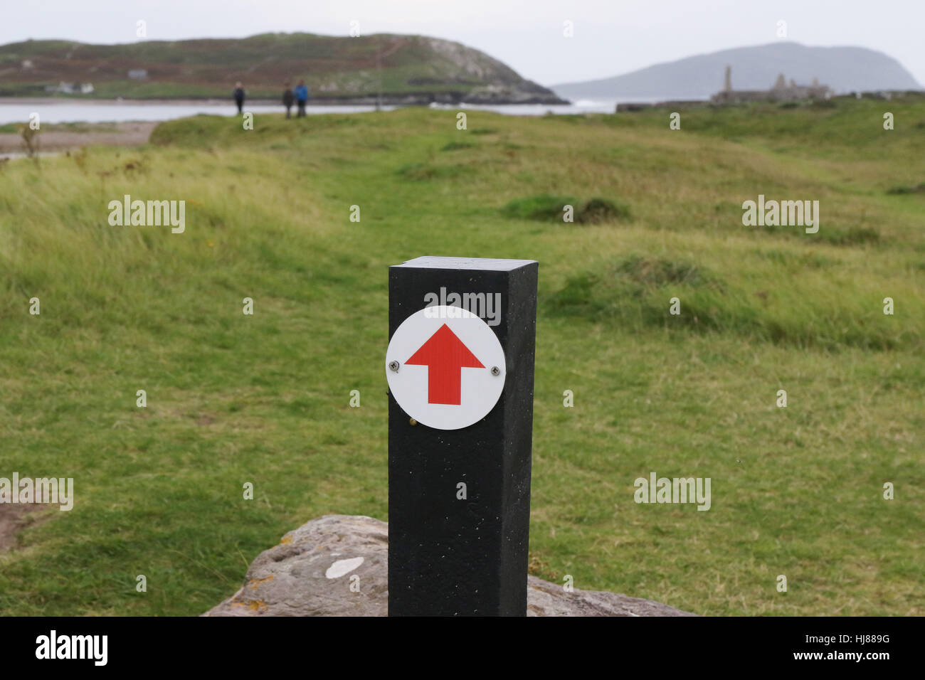 Holz- richtung Marker für Walking Route zu Ballinskelligs Priory, Cliffs of Moher, County Kerry, Irland. Das Priorat ist rechts im Bild. Stockfoto
