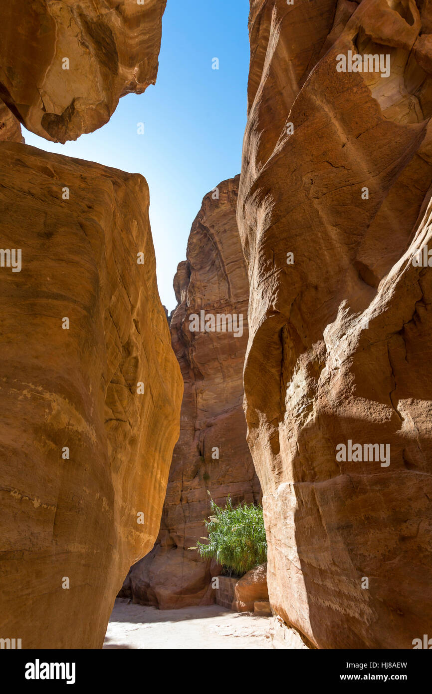 Felsenschlucht, Siq al-Siq, verlassene Stadt Petra, Jordanien Stockfoto