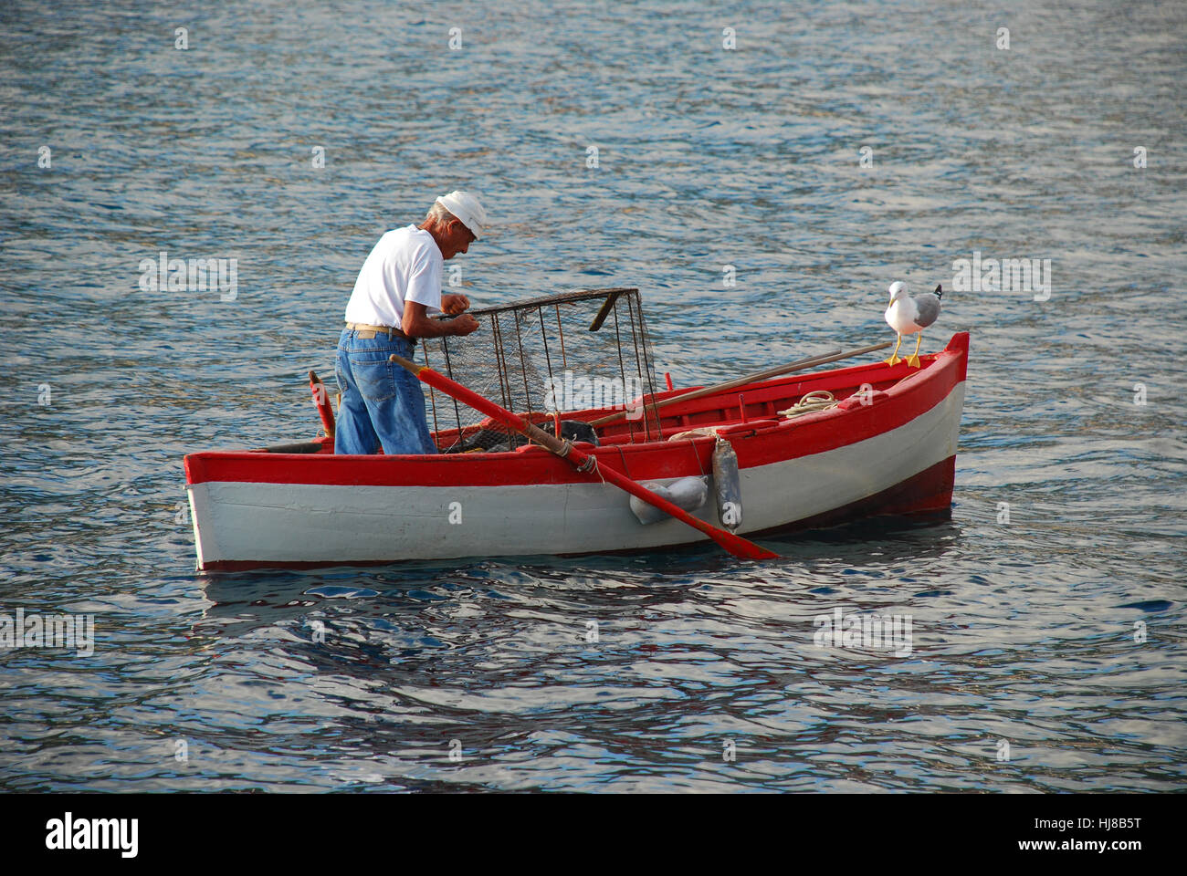 Fischer mit Fischfalle im Hafen Marciana Marina Insel Elba Toskana Italien Stockfoto