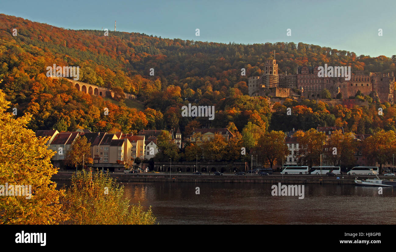 Heidelberger Schloss im Herbst Stockfoto