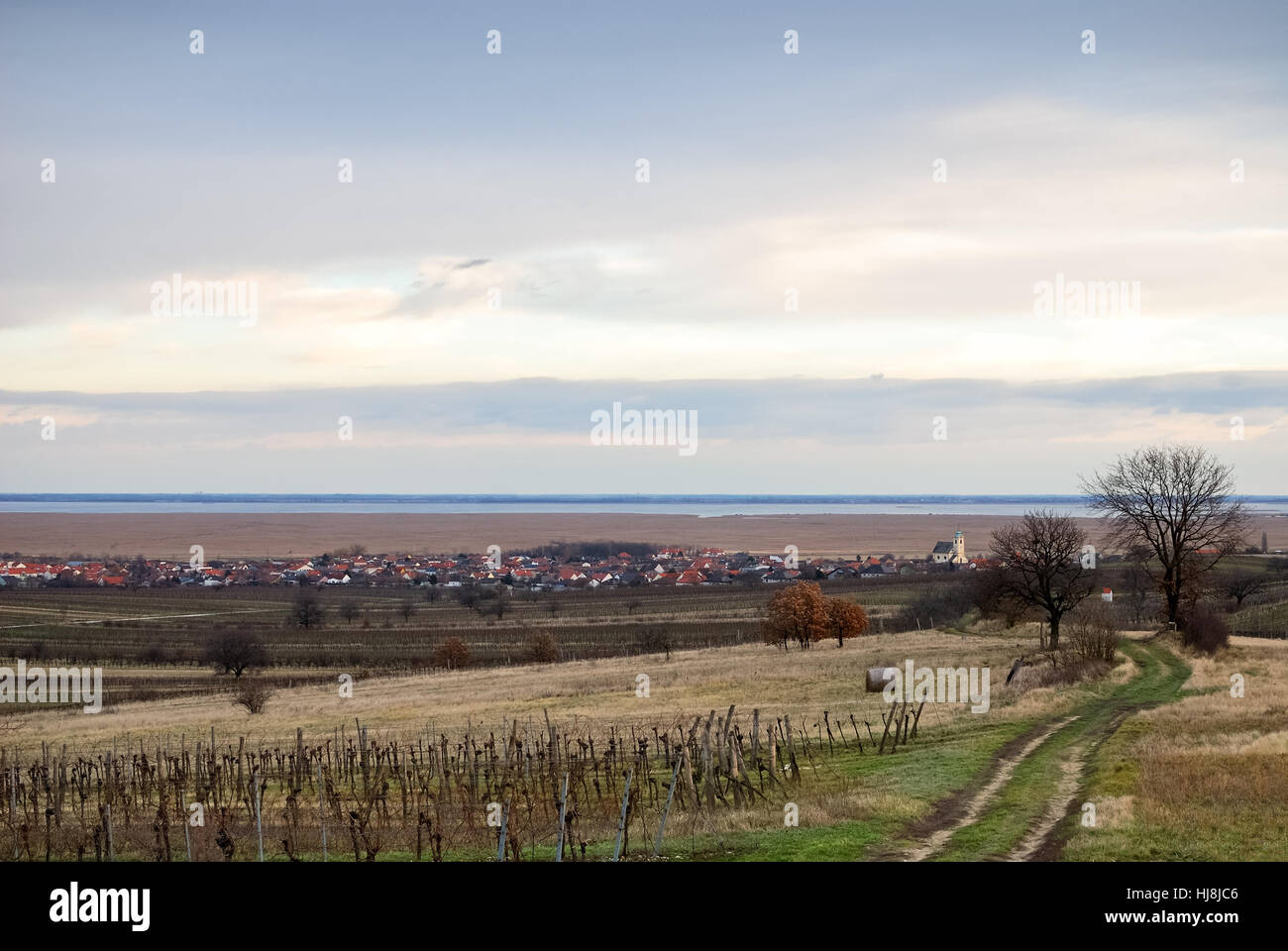 Feldweg, Feld, Stimmung, Abend, Acre, Burgenland, Weingut, Weinberg, Stockfoto