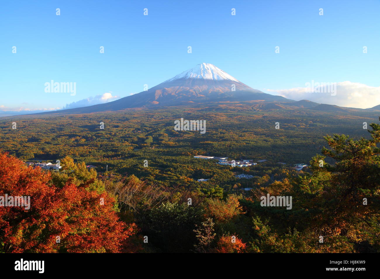 Schone Beauteously Schon Blatt Reisen Oko Umwelt Umwelt Stockfotografie Alamy