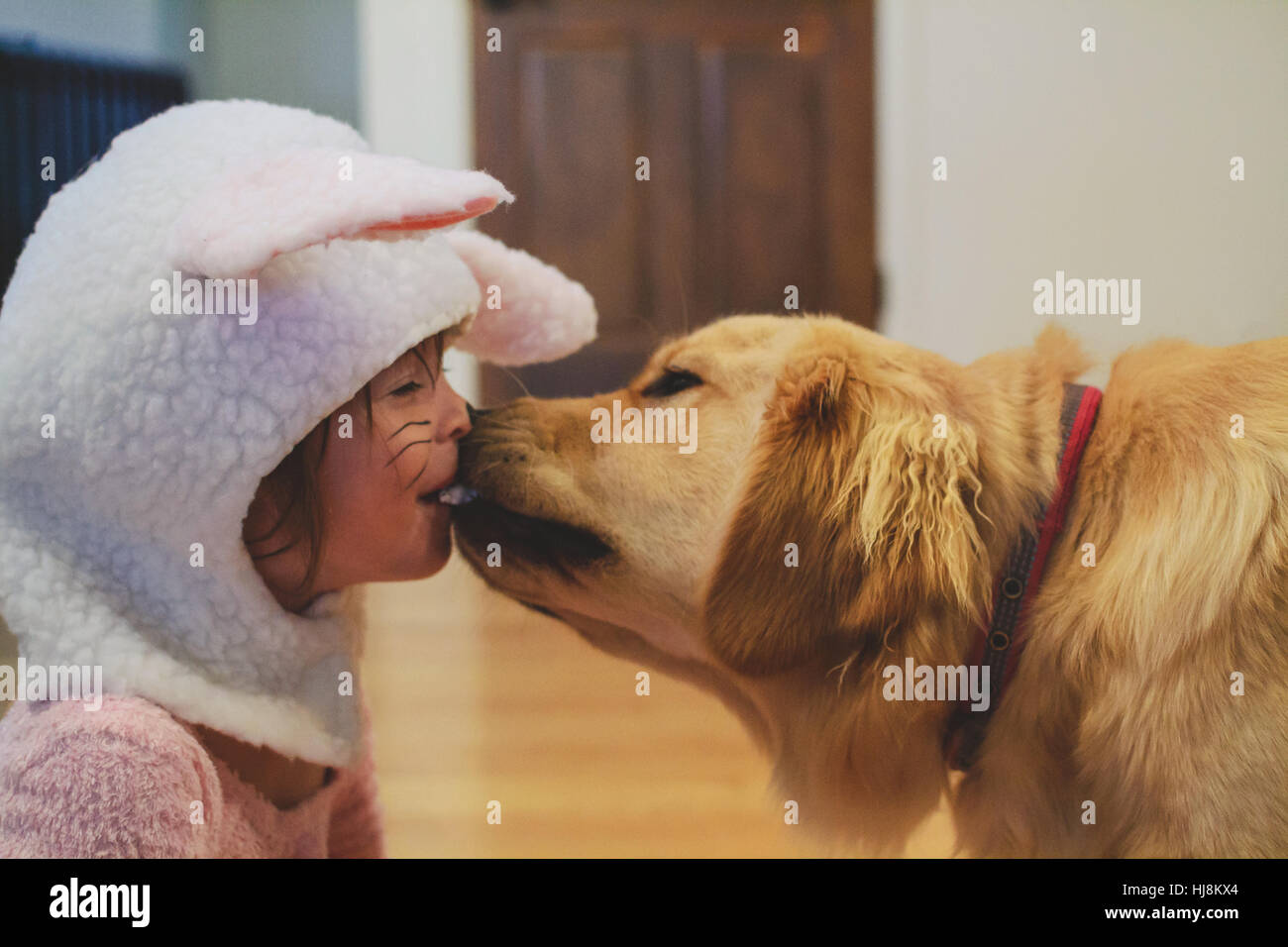 Golden Retriever Hund leckt das Gesicht eines Mädchens in einem Bunny-Kostüm Stockfoto