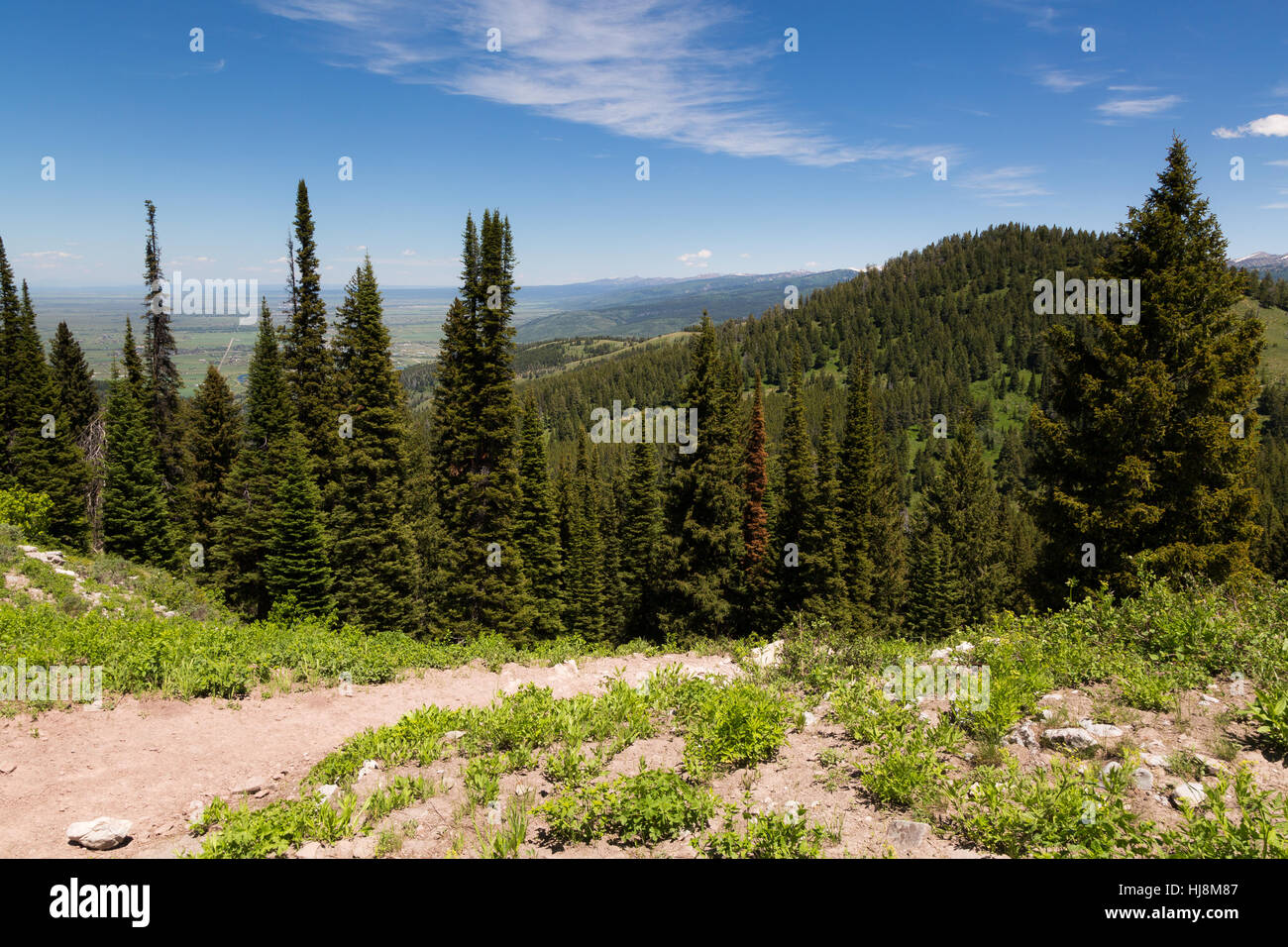 Der Pole Canyon Wanderweg absteigend in Richtung Pole Canyon in der Snake River Mountains. Caribou Targhee National Forest, Idaho Stockfoto